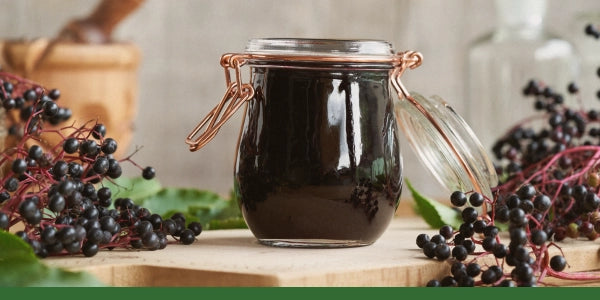 Elderberry Schisandra Syrup