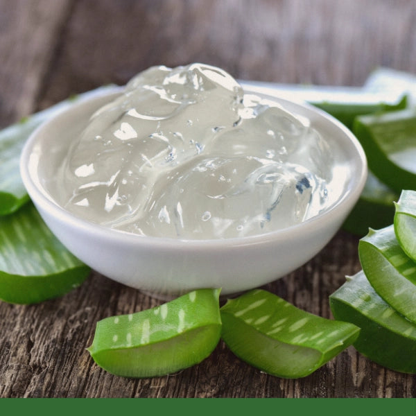 Aloe Vera Gel (Aloe Barbadensis)