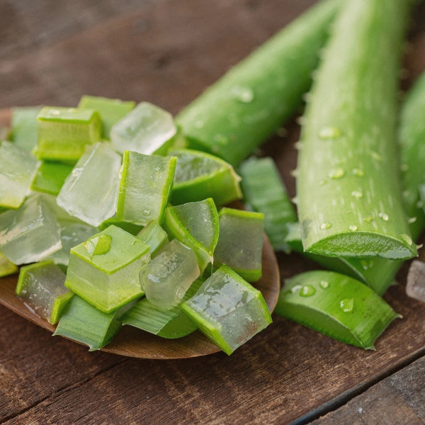 Aloe Vera Gel (Aloe Barbadensis)