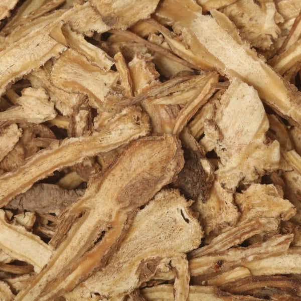 Angelica Root (Angelica archangelica) - Dried Herb, Organic