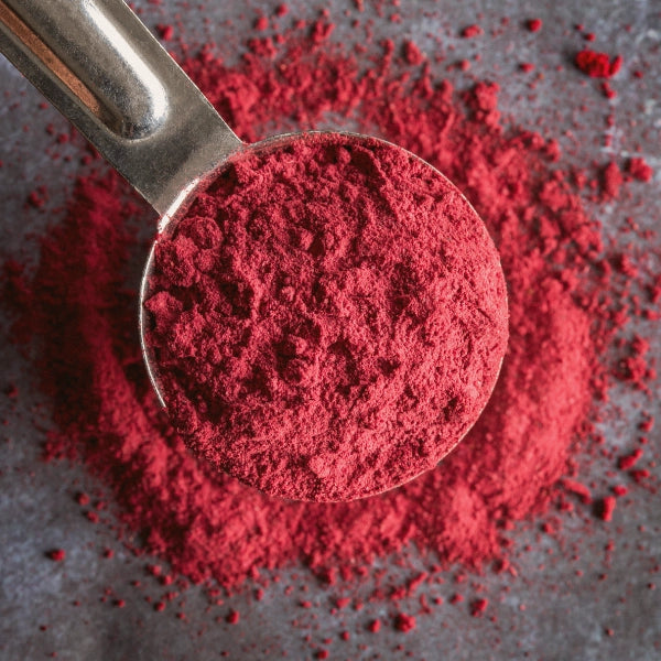 Beetroot Powder (Beta vulgaris) - Dried Herb, Organic