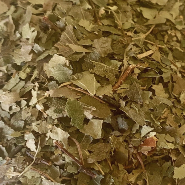 Birch Leaf (Betula pendula) - Dried Herb, Organic