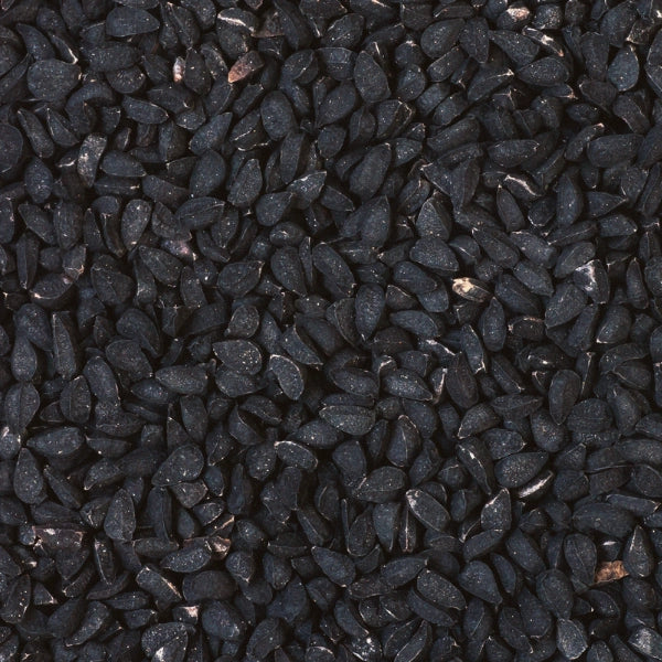 Black Cumin (Bunium bulbocastanum) - Carrier Oil