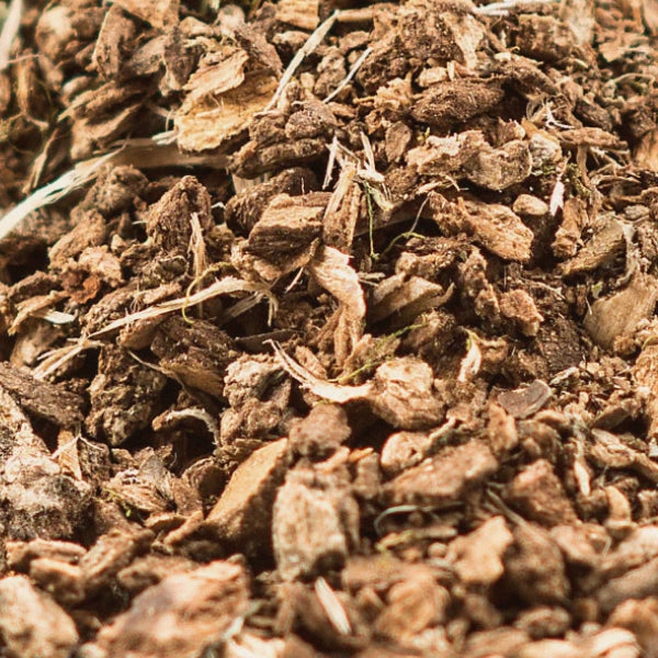 Black Haw Bark, Cut & Sifted (Viburnum prunifolium) - Dried Herb, Wildcrafted