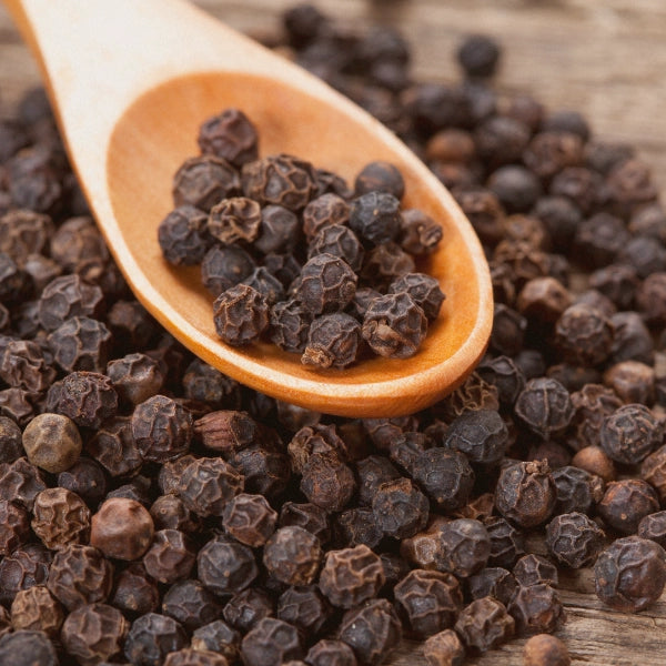 Black Peppercorns (Piper nigrum) - Dried Herb, Organic