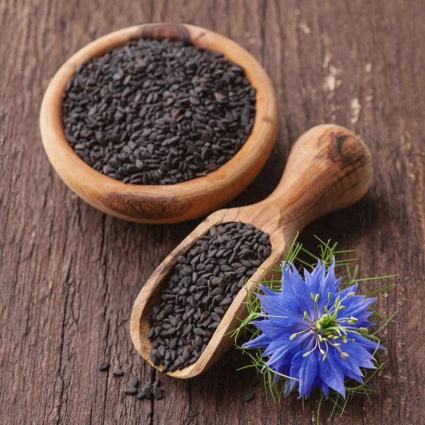 Black Seed (Nigella sativa) - Dried Herb, Organic