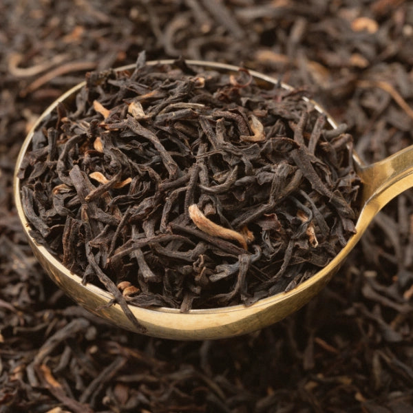 Black Tea - Assam (Camellia sinesis)- Dried herb, Organic