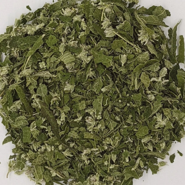 Boneset (Eupatorium perfoliatum), Cut & Sifted - Dried Herb