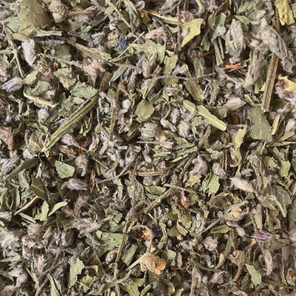 Borage (Borago officinalis) - Dried Herb, Organic