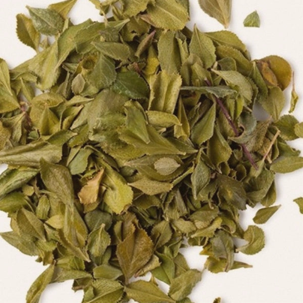 Buchu Leaf (Agathosma Betulina) - Dried Herb, Organic