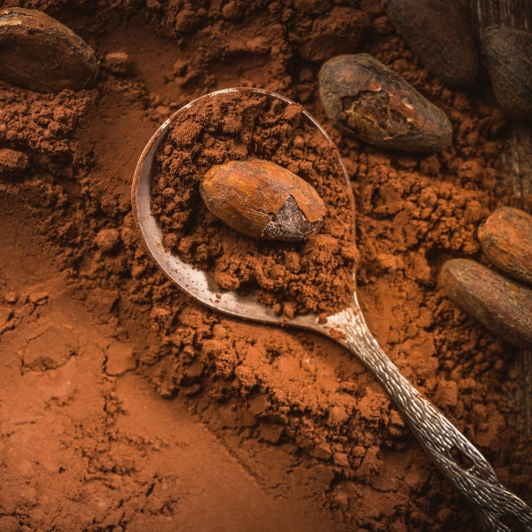 Cacao Powder (Theobroma cacao) - Dried Herb, Organic