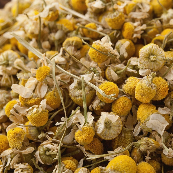 Chamomile Flowers, Whole (Matricaria chamomilla) - Dried Herb, Organic