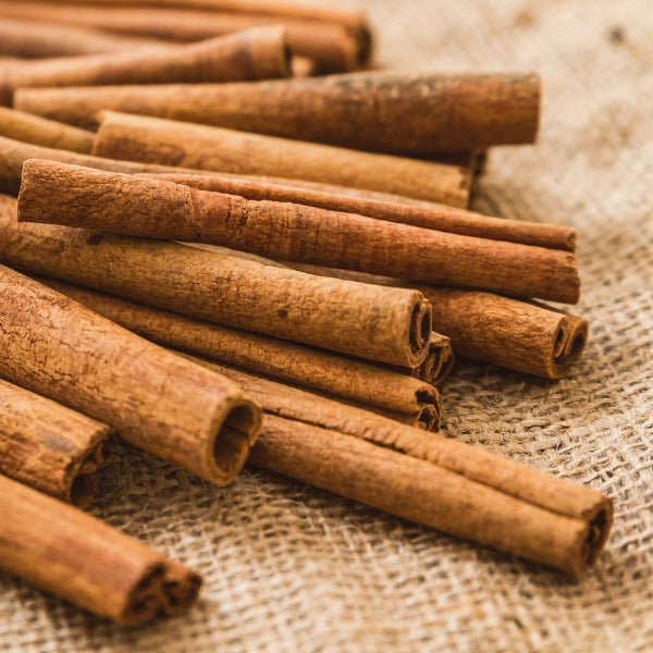 Cinnamon, Sticks (Cinnamomum zeylanicum) - Dried Herb, Organic