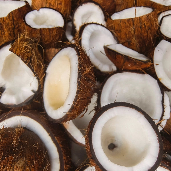 Coconut (Cocus nucifera) - Carrier Oil