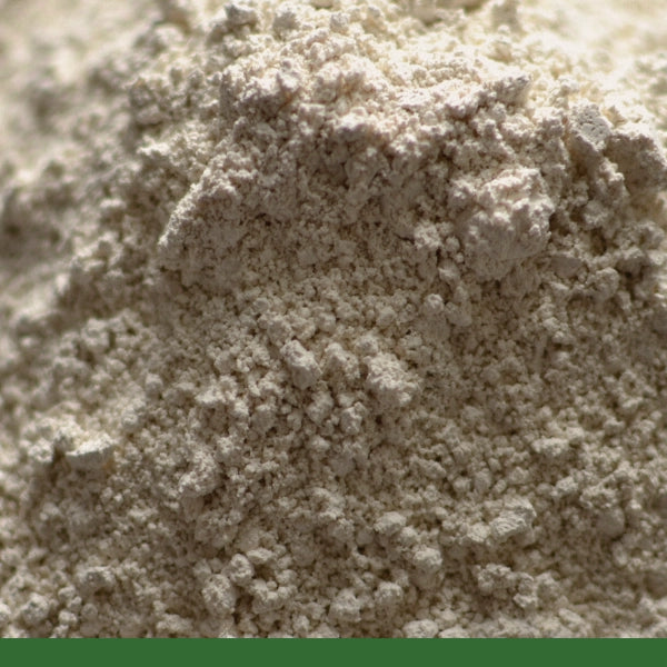 Diatomaceous Earth, Powder