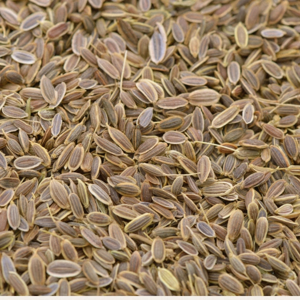 Dill Seed (Anethum graveolens) - Essential Oil