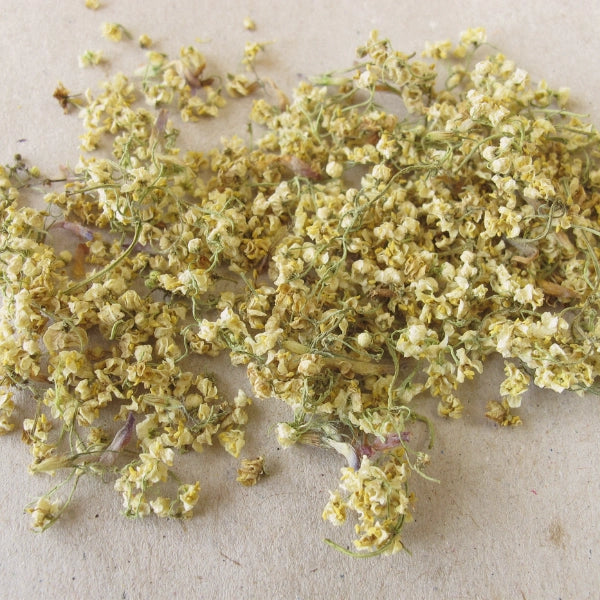 Elderflowers, Whole (Sambucus nigra) - Dried Herb, Organic