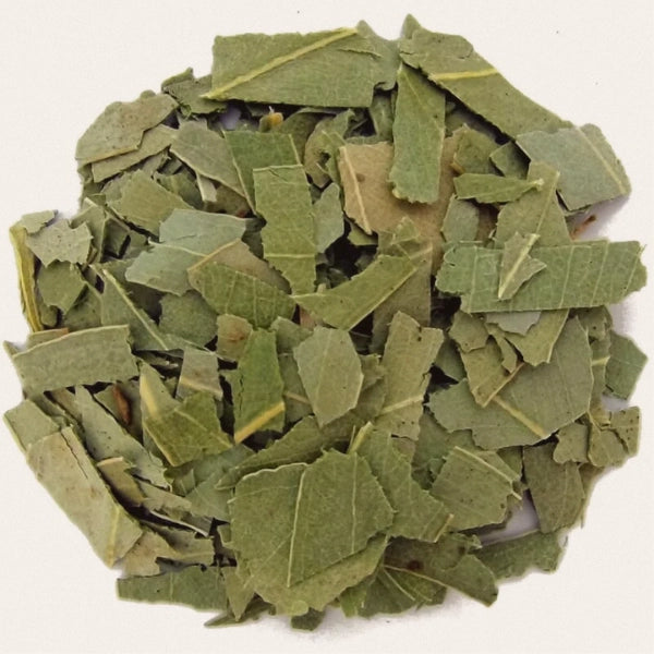 Eucalyptus Leaf, Cut & Sifted (Eucalyptus globulus) - Dried Herb, Organic