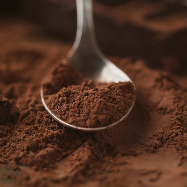 Five Mushroom Chocolate, Powder – Organic