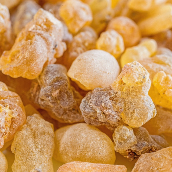 Frankincense Gum (Boswellia carterii) - Dried Herb, Organic