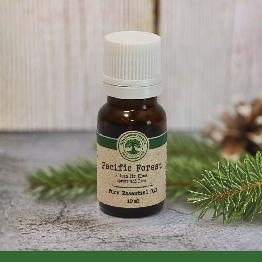 Pacific Forest - Aromatherapy Mix