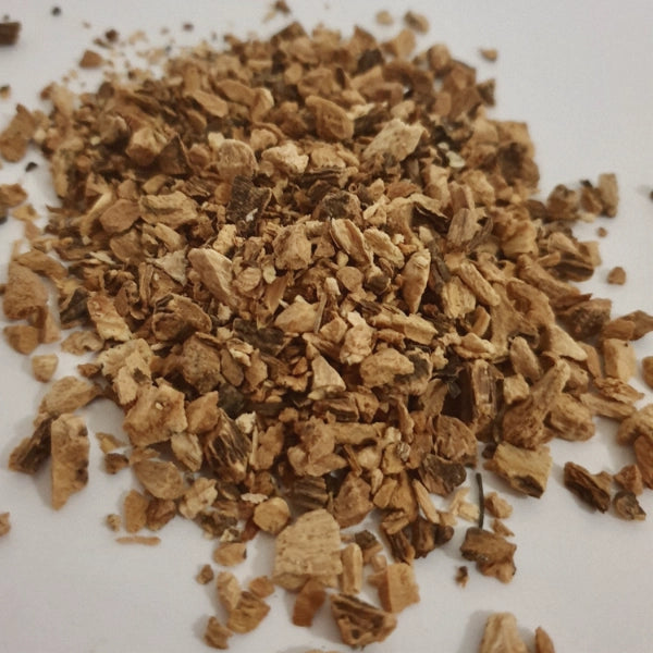 Gentian Root, Cut & Sifted (Gentiana lutea) - Dried Herb, Organic