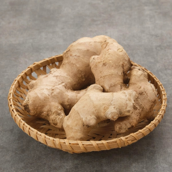 Ginger Root, Cut & Sifted (Zingiber officinalis) - Dried Herb, Organic