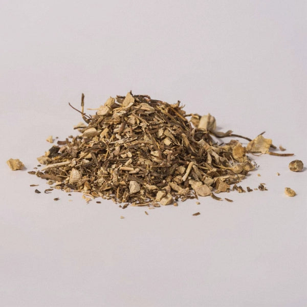 Gravel Root (Eupatorium purpureum) - Dried Herb, Wildcrafted