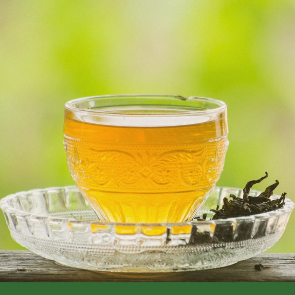 Green Tea, Dragon Well (Camellia sinensis) - Dried Herb, Organic