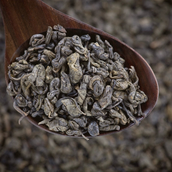 Green Tea, Gunpowder Osprey (Thea sinensis) - Dried Herb, Organic