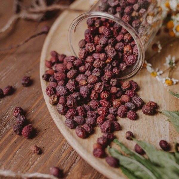 Hawthorn Berries, Whole (Crataegus laevigata) - Dried Herb, Organic