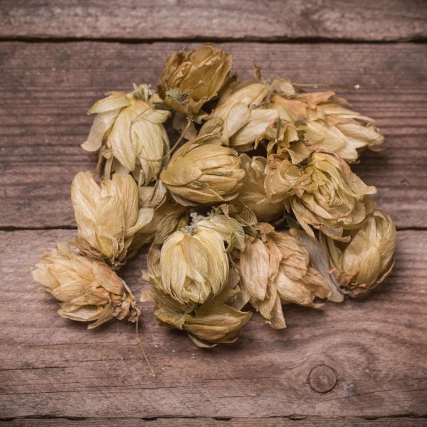 Hops Flower, Whole (Humulus lupulus) - Dried Herb, Organic