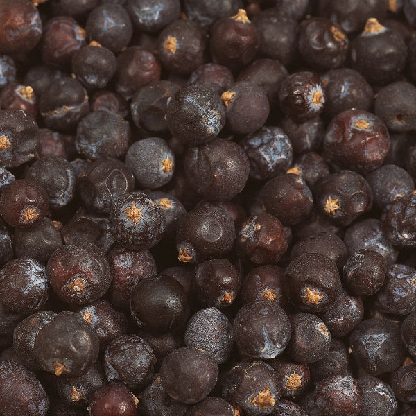 Juniper Berries, Whole (Juniperus communis) - Dried Herb, Organic