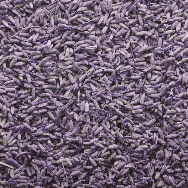 Lavender Flower, Whole (Lavandula angustifolia) - Dried Herb, Organic