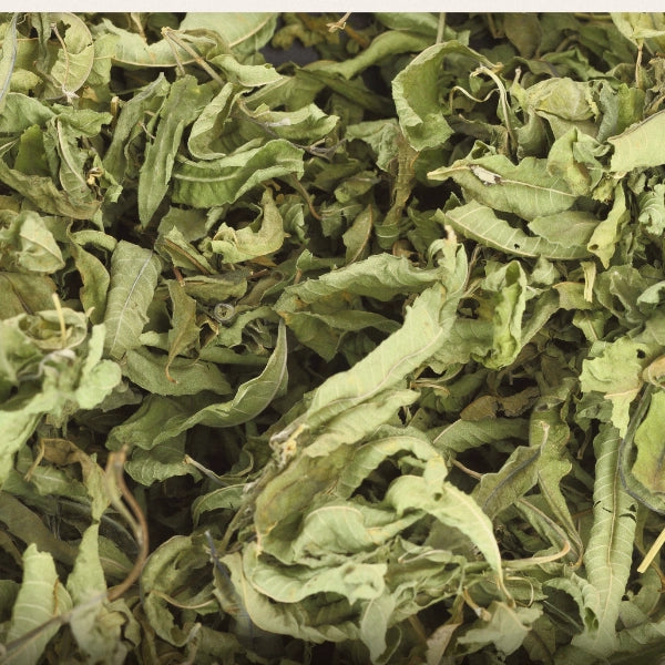 Lemon Verbena Leaf (Lippia citriodora) - Dried Herb, Organic