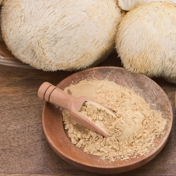 Lion's Mane Mushroom Powder (Hericium erinaceus) - Dried Herb, Organic