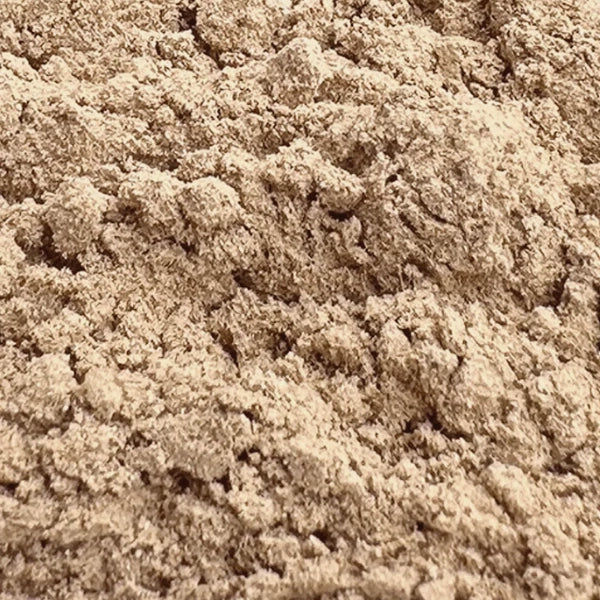 Maitake Mushroom Powder (Grifola frondosa) - Organic