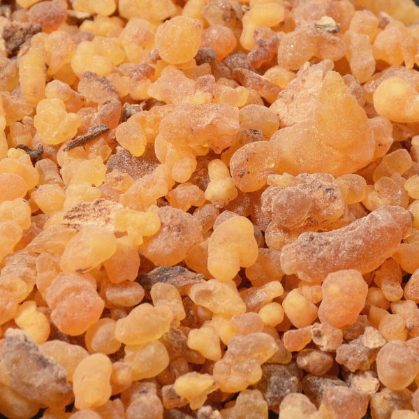 Myrrh Gum, Resin (Commiphora molmol) - Dried Herb, Organic