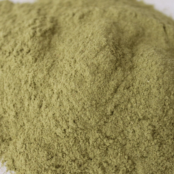 Olive Leaf, Powder (Olea europaea) - Dried Herb, Organic