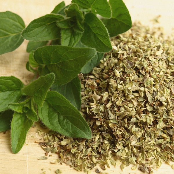 Oregano Leaf, Whole (Origanum vulgare) - Dried Herb, Organic