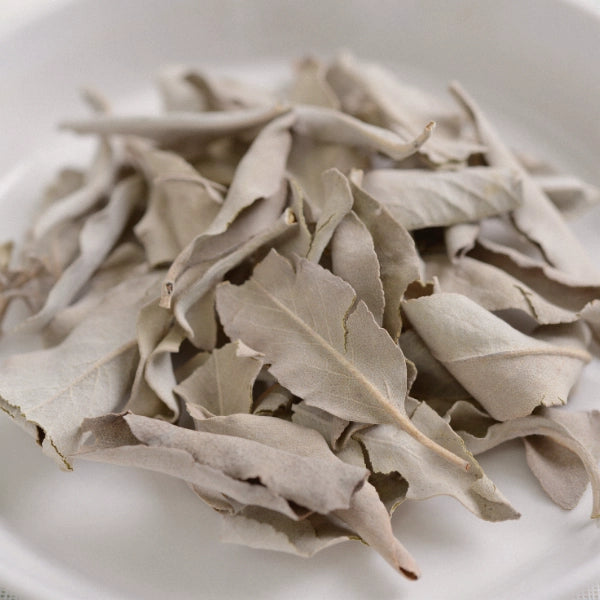 Sage Leaf, Cut & Sifted (Salvia officinalis) - Dried Herb, Organic