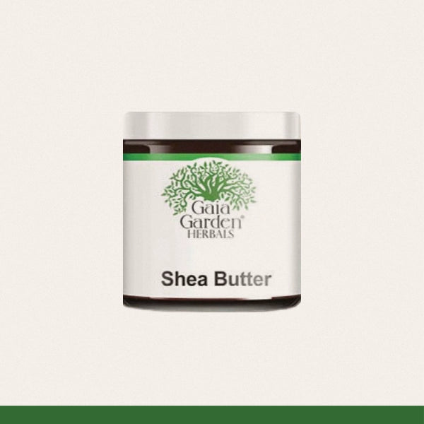 Shea Butter (Butyrospermum parkii)