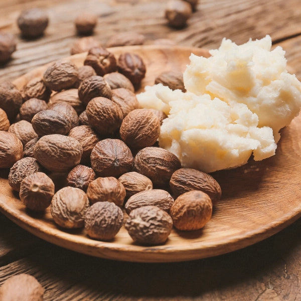 Shea Butter (Butyrospermum parkii)