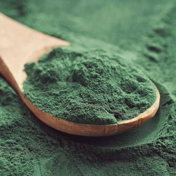 Spirulina Algae, Powder (Spirulina platensis) - Dried Herb, Organic