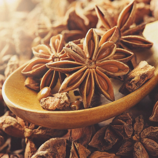 Star Anise, Whole (Illicum verum) - Dried Herb, Organic