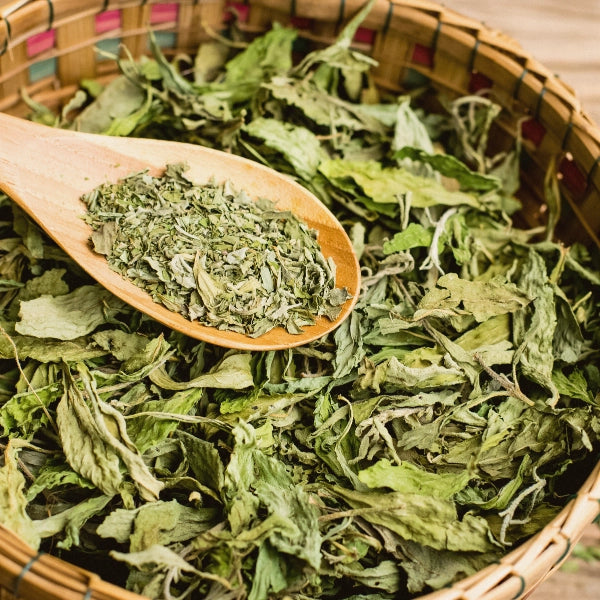 Stevia Leaf, Cut & Sifted (Stevia rebaudiana) - Dried Herb, Organic