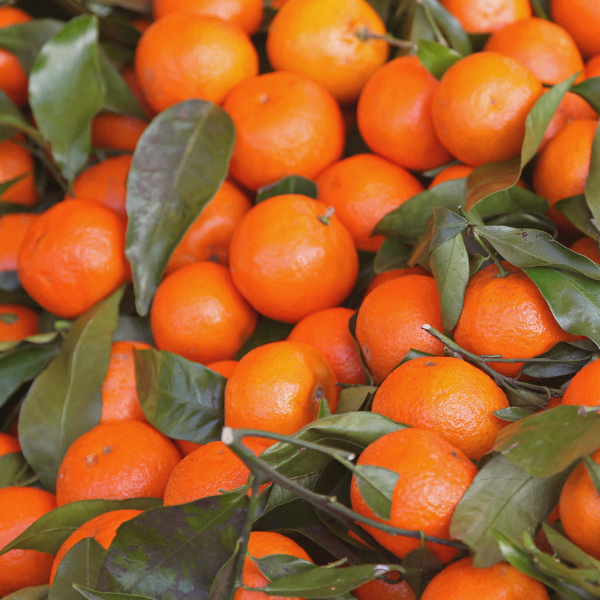 Tangerine (Citrus reticulata) - Essential Oil