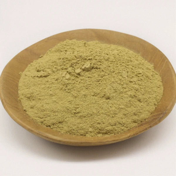 Turkey Rhubarb Root, Powder (Rheum officinalis) - Dried Herb, Organic