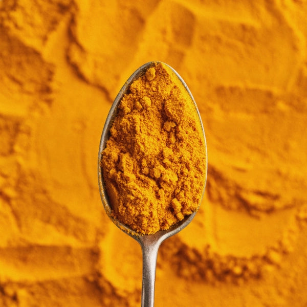 Turmeric Powder (Curcuma longa) - Dried Herb, Organic