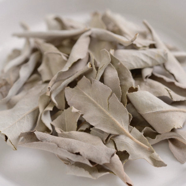 White Sage (Salvia apiana) - Dried Herb, Naturally Cultivated